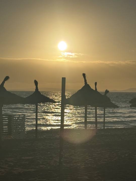 Strand Hotel & Appartements Leman