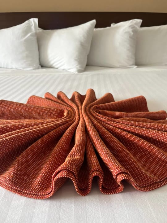 Zimmer Hotel Flamingo Cancun Resort