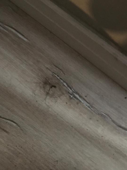 Zimmer Joker Side Hill