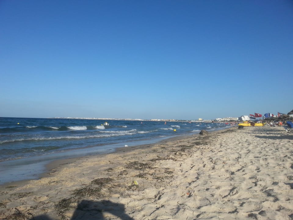 Piaszczysta plaża Hotel Neptunia Skanes