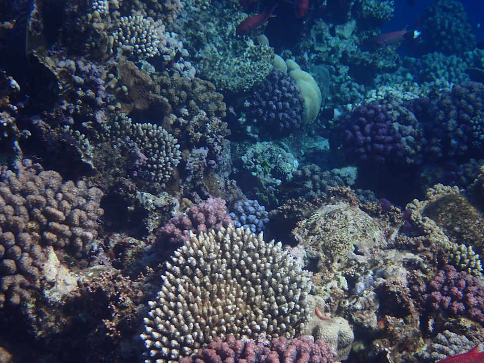 Strand Three Corners Sea Beach Resort