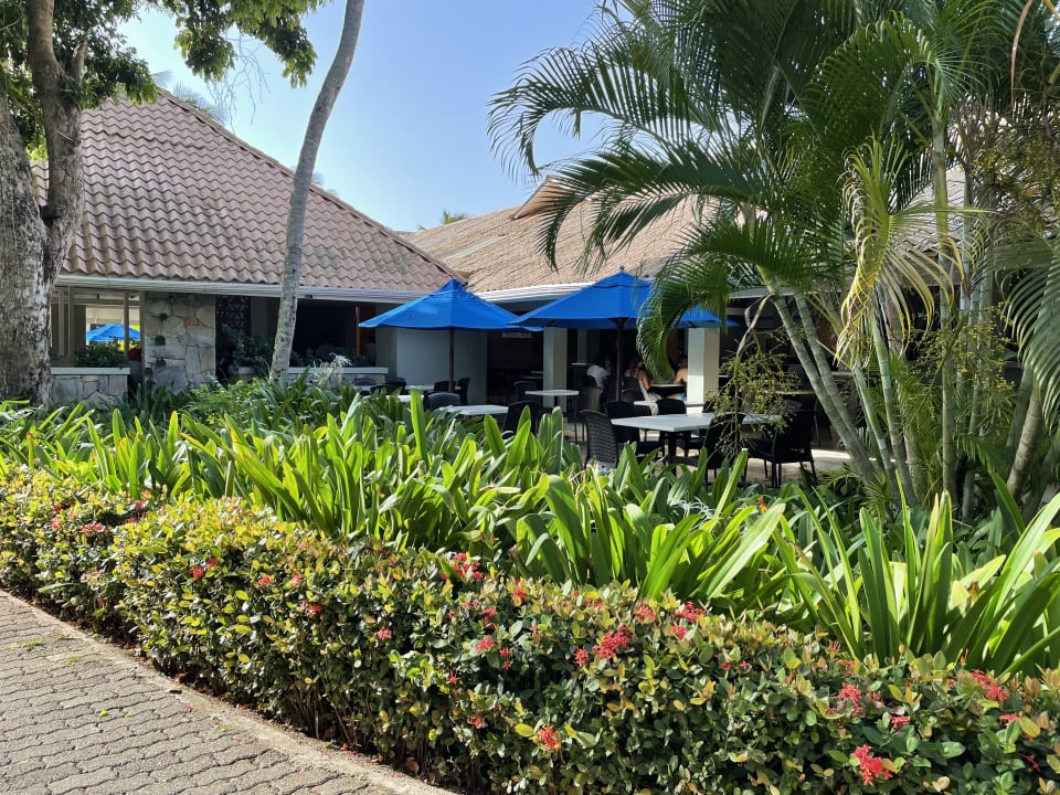 Gastro Wyndham Alltra Samana