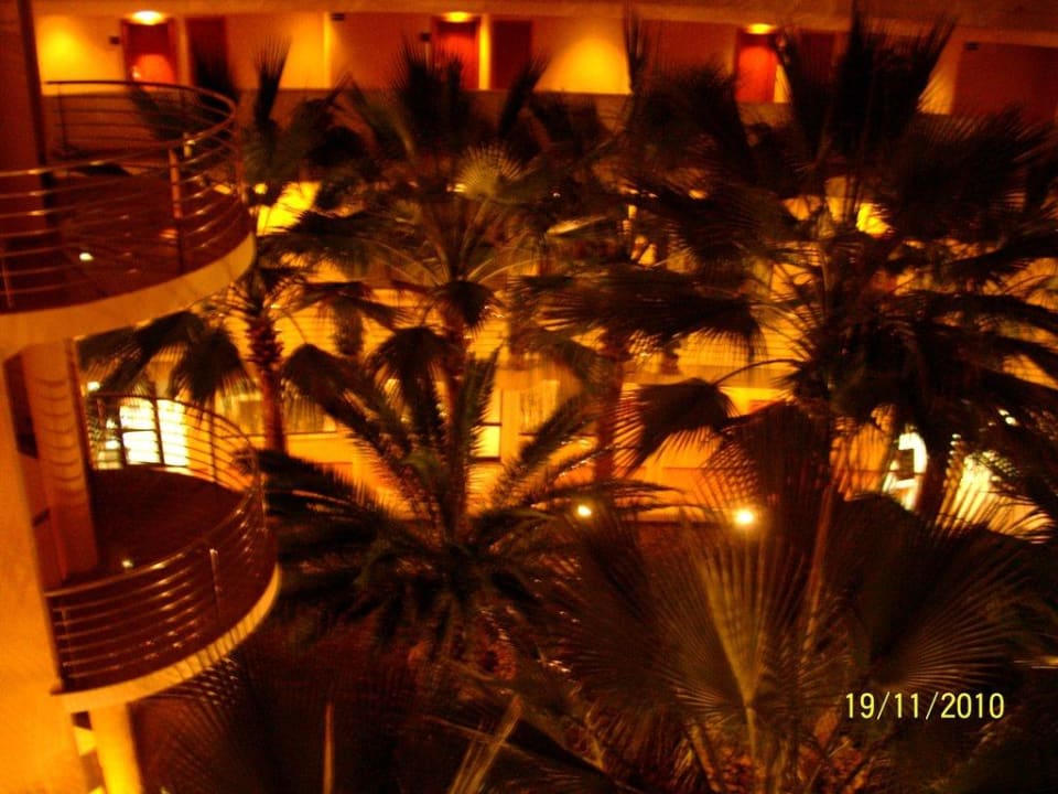 Innenbereich des Hotels am Abend allsun App.-Hotel Orient Beach