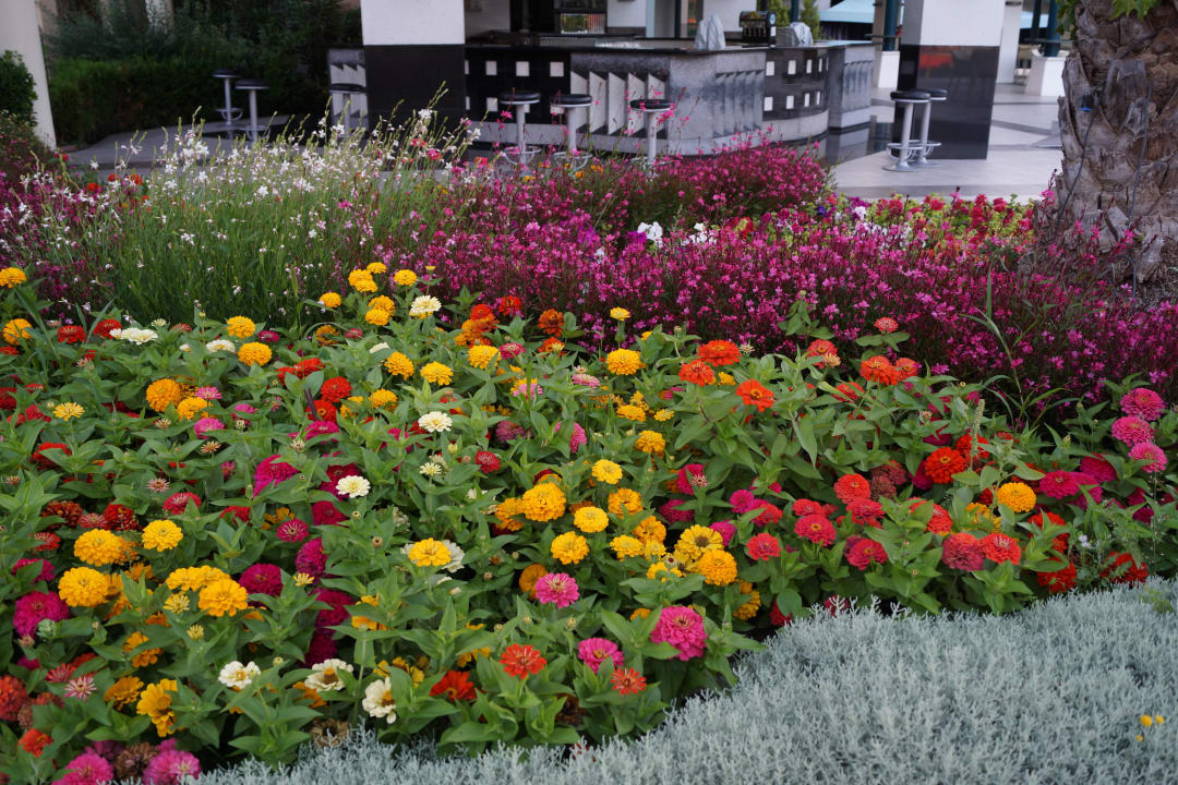 Überall Blumen Le Jardin Resort