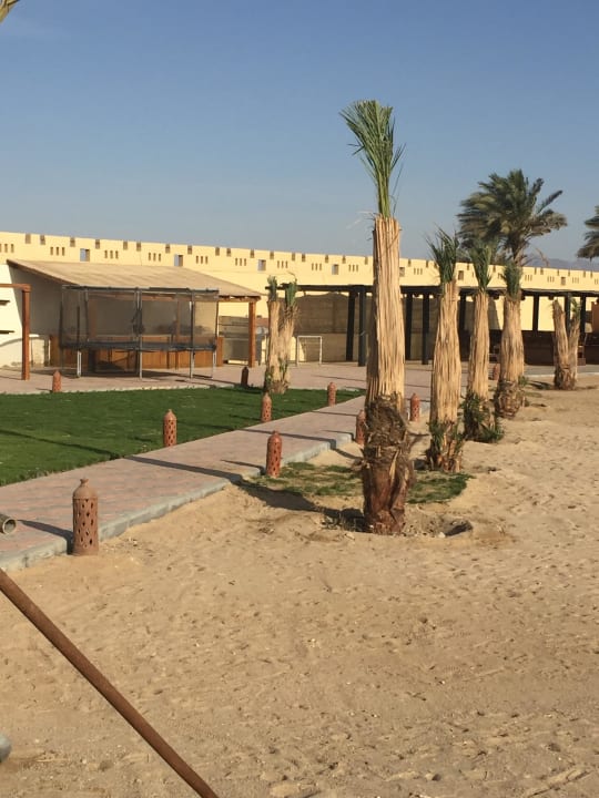 Auch alles neu Coral Sun Beach