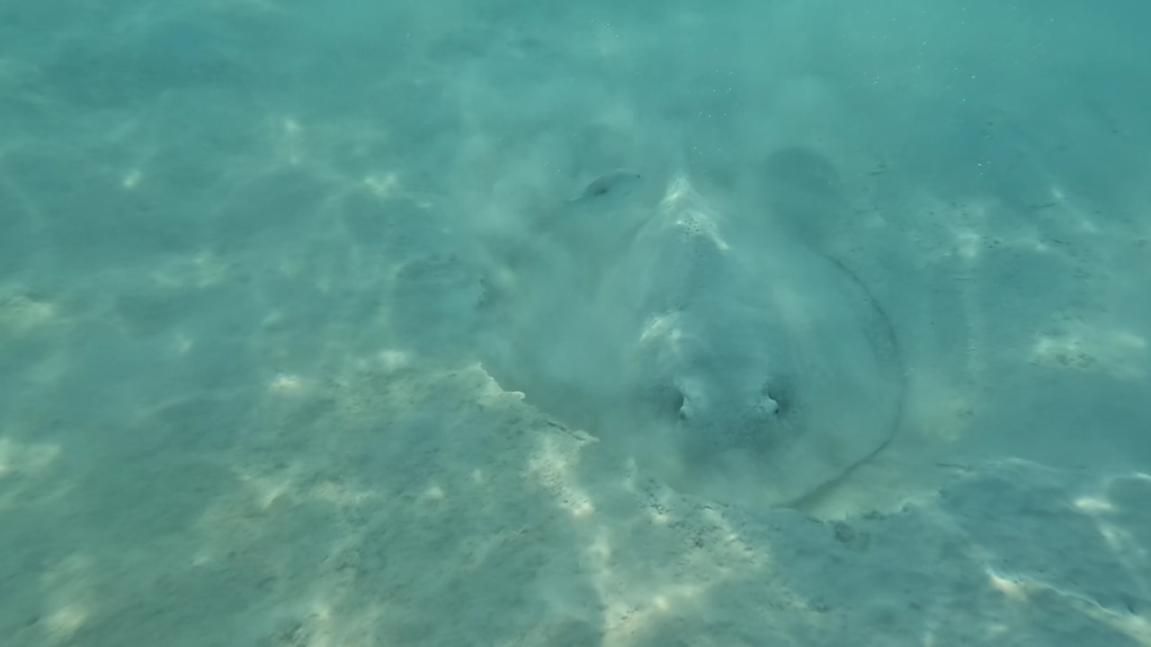 Sport & Freizeit NH Collection Maldives Havodda Resort