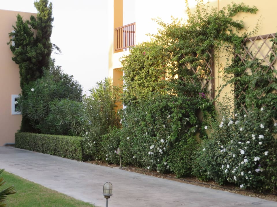 Gepflegter Garten Hotel Horizon Beach Resort