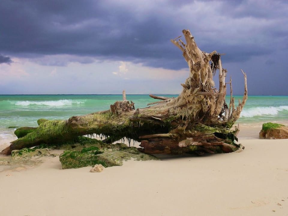 Strandspaziergang in Richtung Playa del Carmen Hotel Riu Tequila