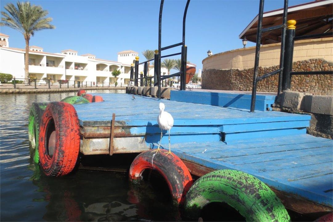 Steg in Lagune Pickalbatros Dana Beach Resort - Hurghada
