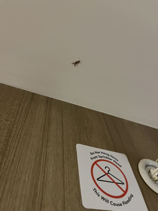 Zimmer Hotel Delphin Imperial