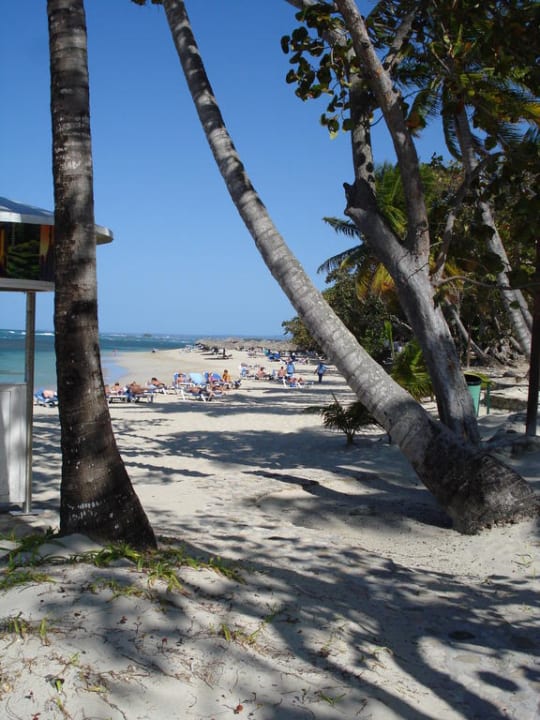 Strand Grand Paradise Playa Dorada