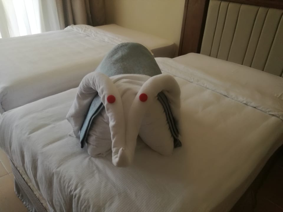 Zimmer Serenity Alpha Beach