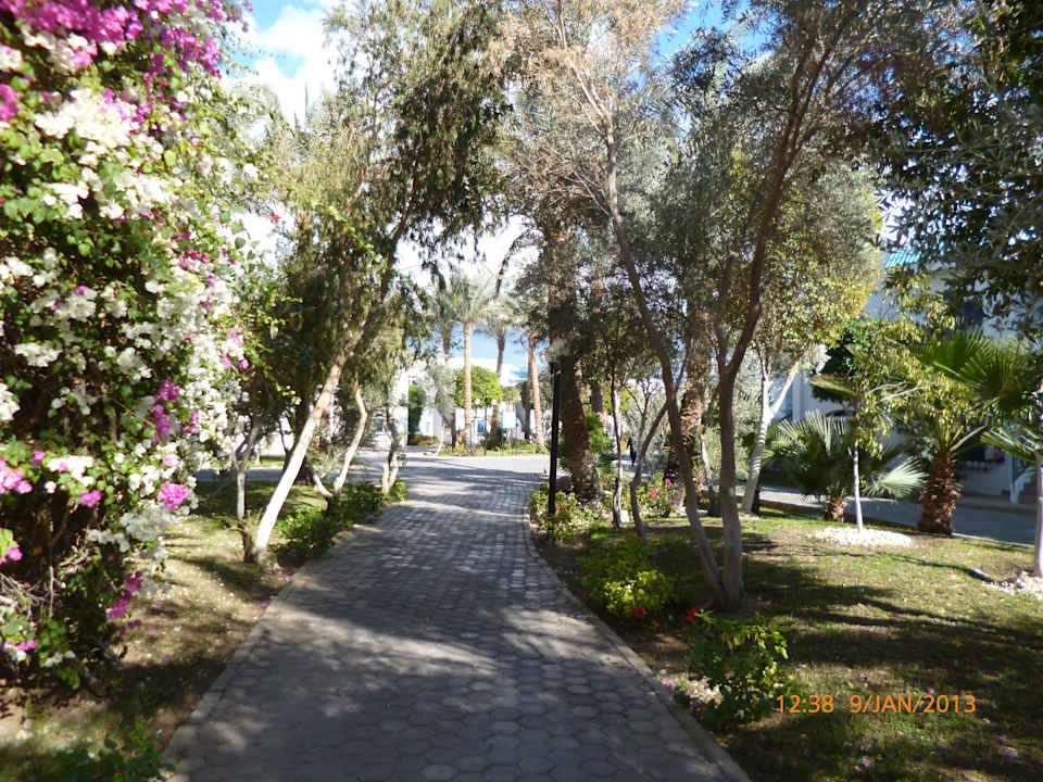 Garten Sultan Gardens Resort