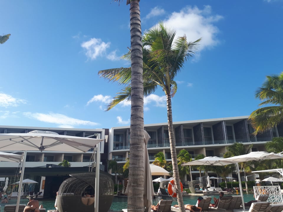 Pool TRS Coral Hotel - Adults Only