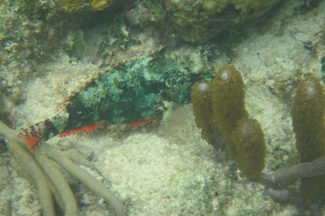 Sport & Freizeit Akumal Bay Beach & Wellness Resort