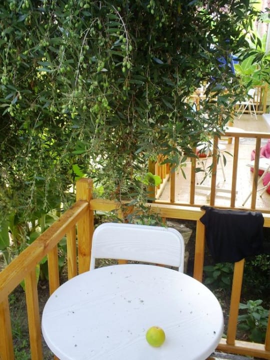 Gartenanlage Clover Magic Nova Beach