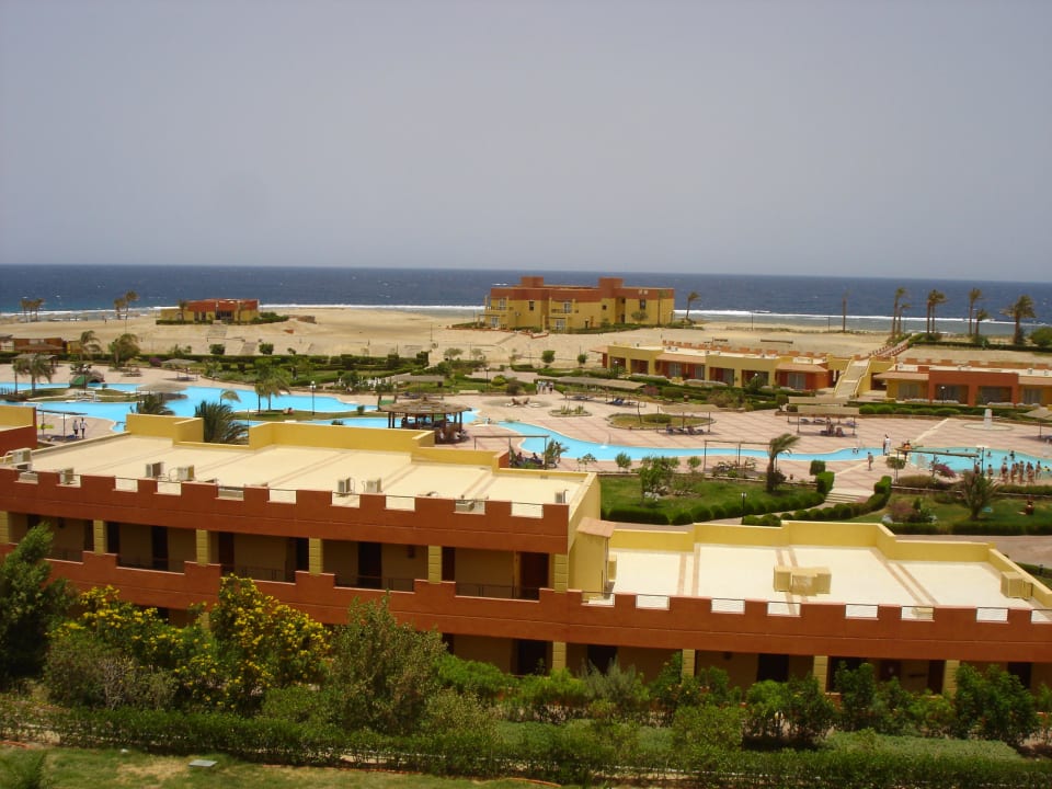 Widok na baseny Malikia Resort Abu Dabbab