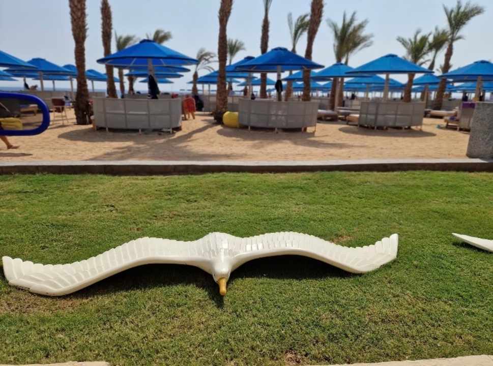 Gartenanlage Beach Albatros Resort
