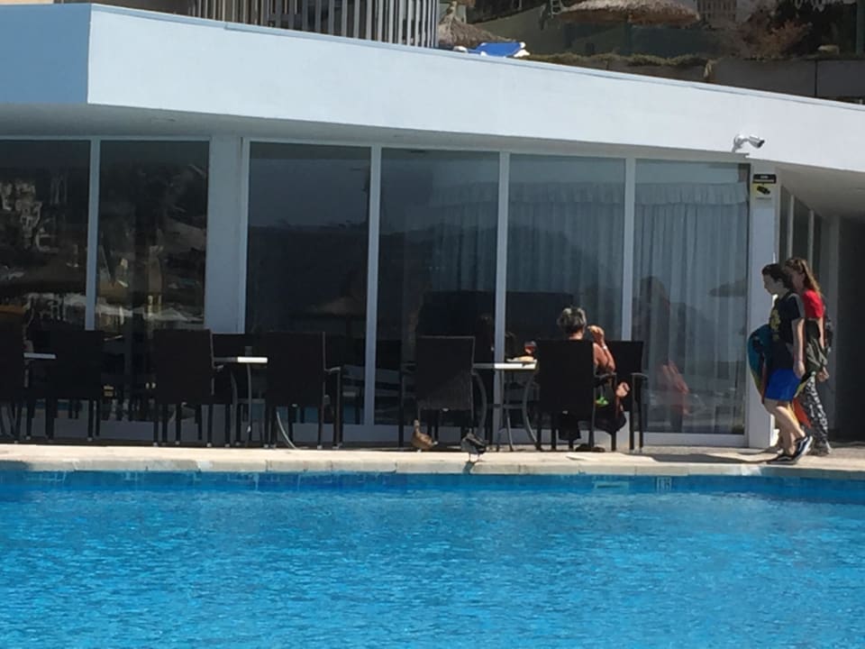 Pool Hotel Vibra Beverly Playa