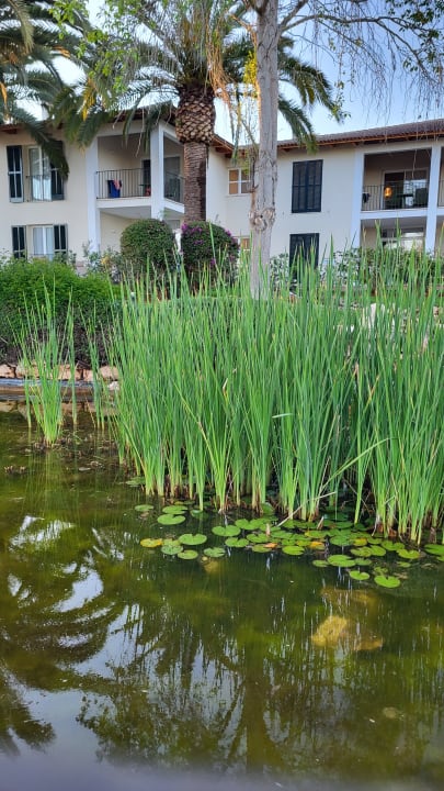 Außenansicht Blau Colònia Sant Jordi