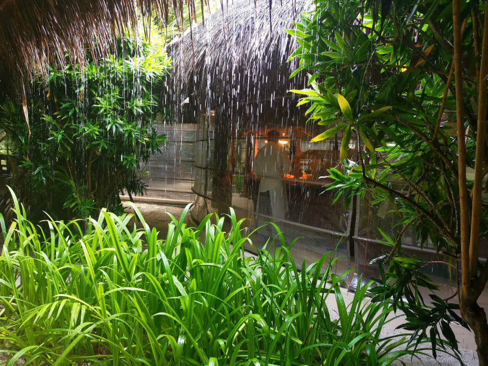 Gastro Summer Island Maldives