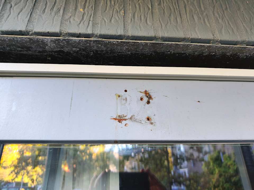 Zimmer Hotel In den Brouwery