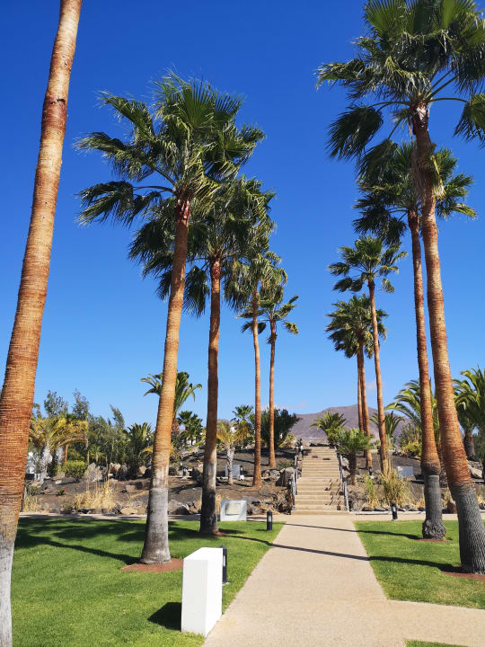 Gartenanlage Hotel THB Tropical Island