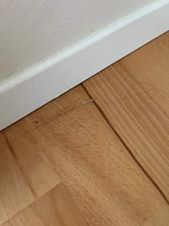 Zimmer Falkensteiner Hotel Adriana