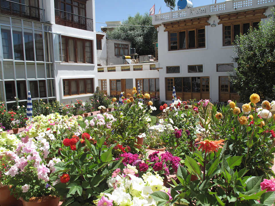 Garten auf der Terrasse Hotel Omasila