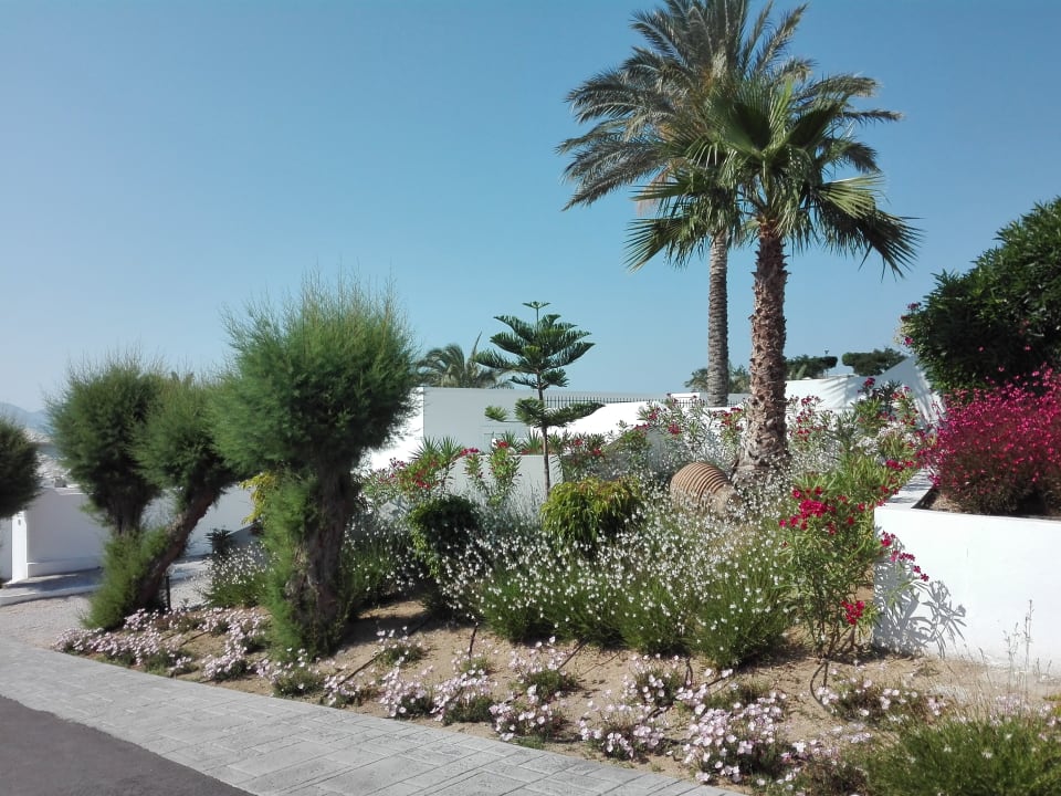 Außenansicht Dimitra Beach Hotel & Suites