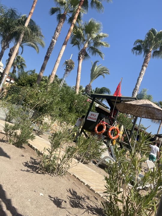 Strand Arycanda Kirman Premium