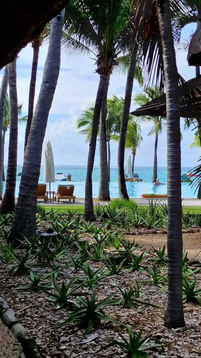 Gartenanlage Paradis Beachcomber Golf Resort & Spa