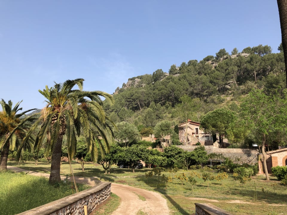 Gartenanlage Finca Ca N'Aí