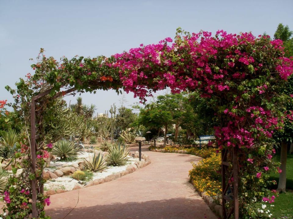 Hotelanlage Nubian Village Hotel Nubian Village