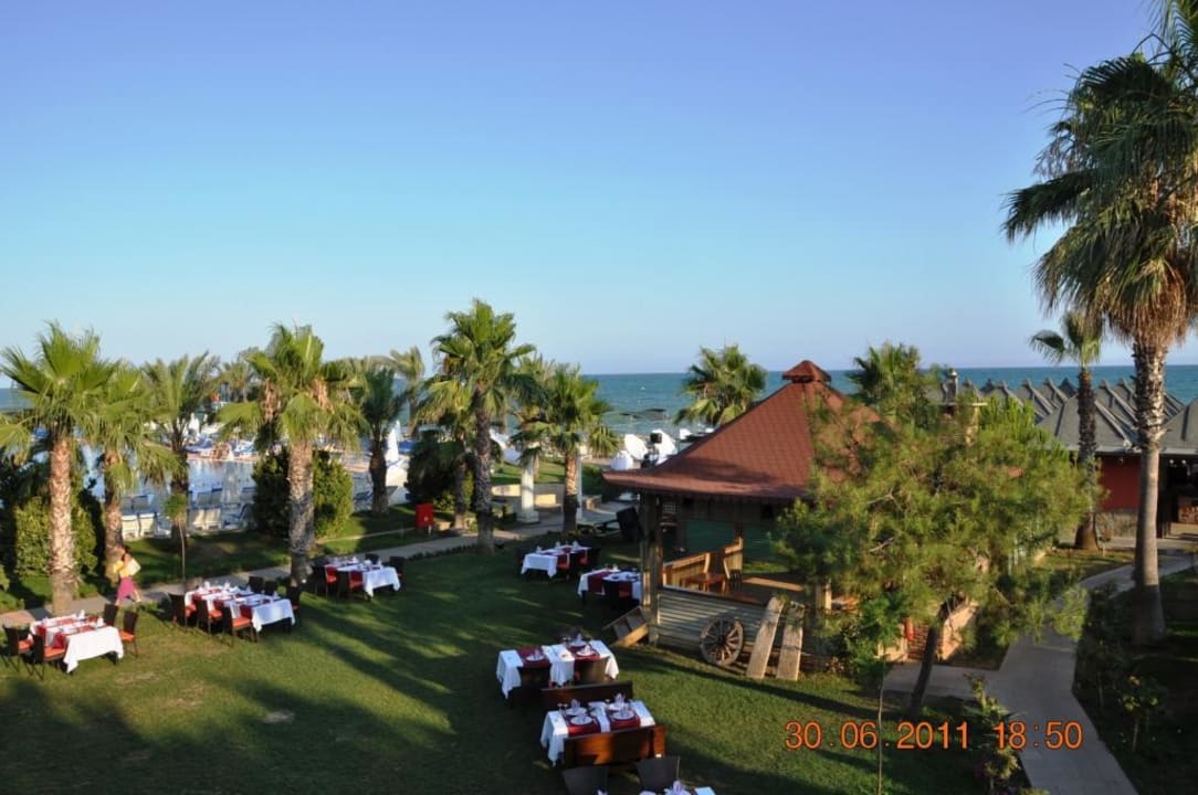 À la carte im Freien  Papillon Belvil