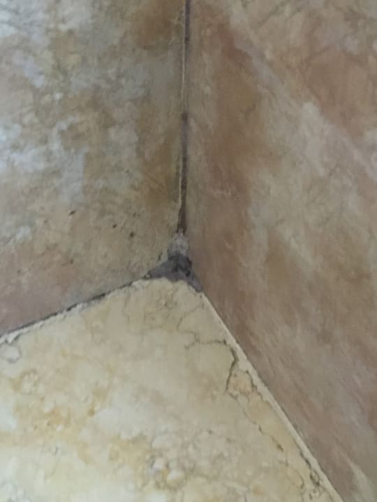 Zimmer Pickalbatros Citadel Resort