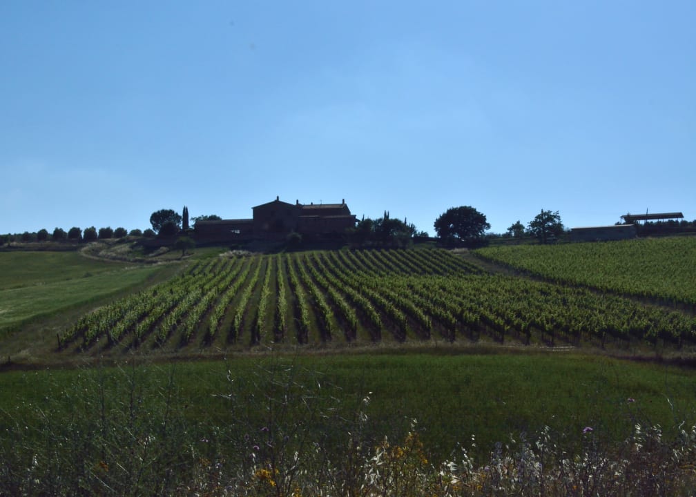 Außenansicht Agriturismo Podere del Vescovo