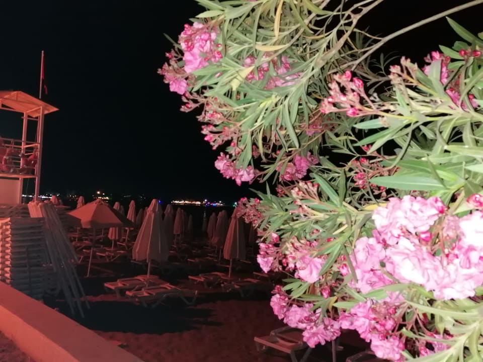 Sonstiges Nerton Hotel - Erwachsenenhotel ab 16 Jahren