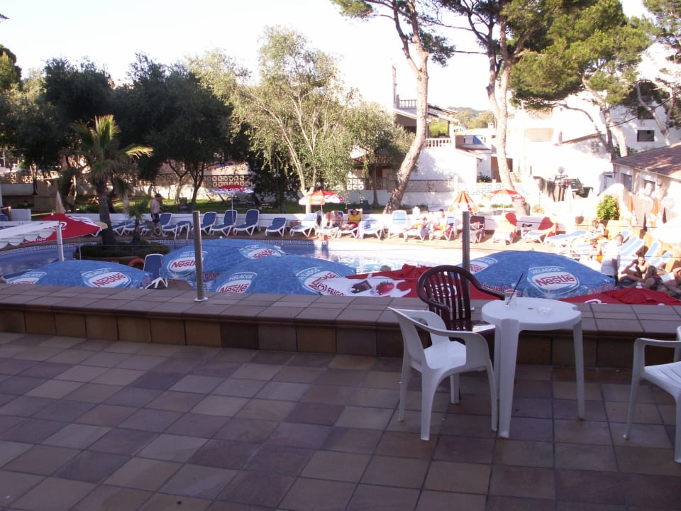 Aussicht zum Pool Hotel Clumba