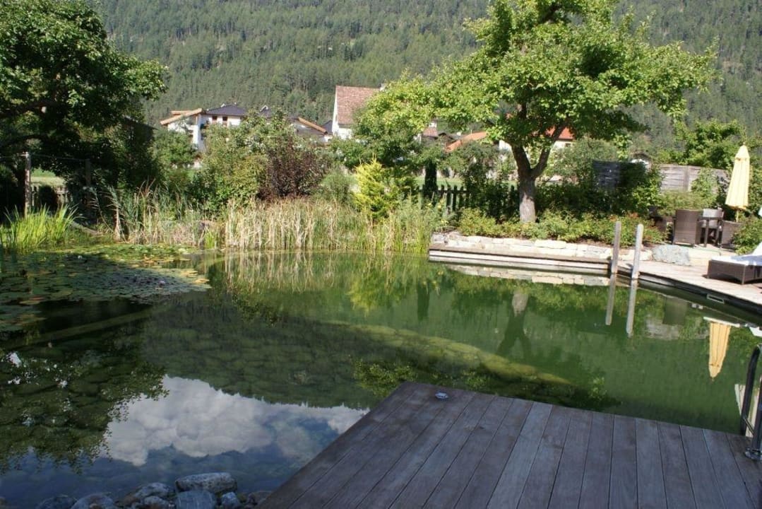 Schwimmteich mit Biotop Hotel Linde