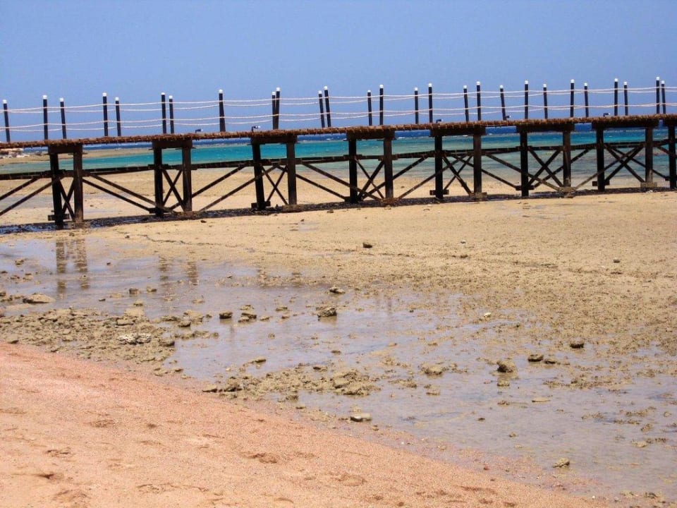 Steg trockengefallen Fantazia Resort Marsa Alam