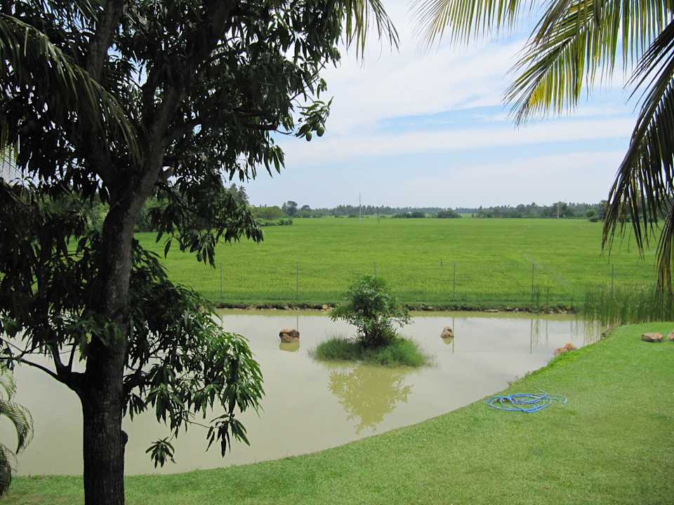 Blick vom Balkon Kithala Resort