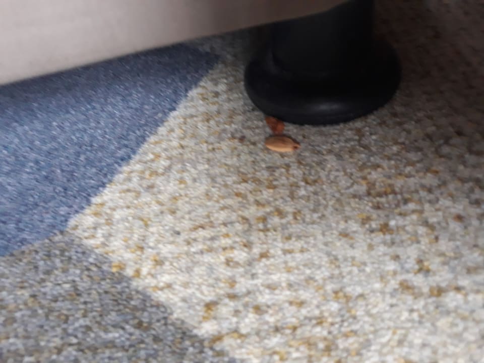 Zimmer Fame Residence Lara & Spa