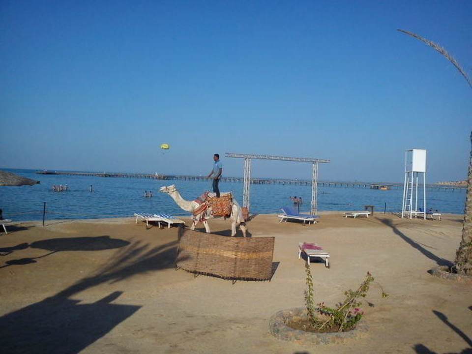 Такси Riviera Aqua Park Resort