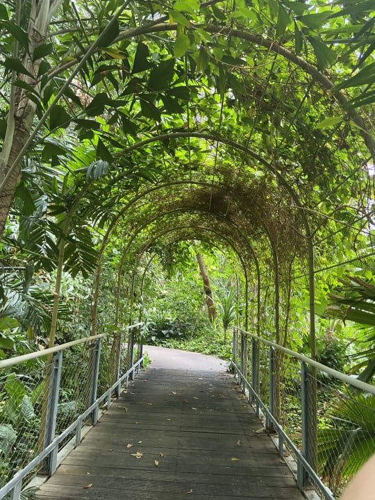 Sonstiges Tropical Islands Resort