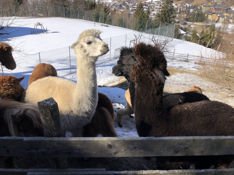 Sport & Freizeit Der Kirchheimerhof - Superior Refugium