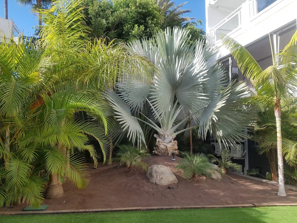 Gartenanlage LABRANDA Marieta - Adults only