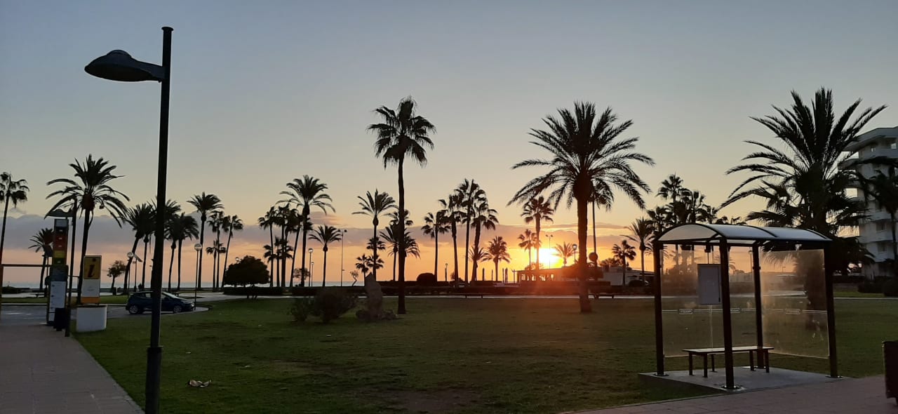 Garten allsun Hotel Bahia del Este