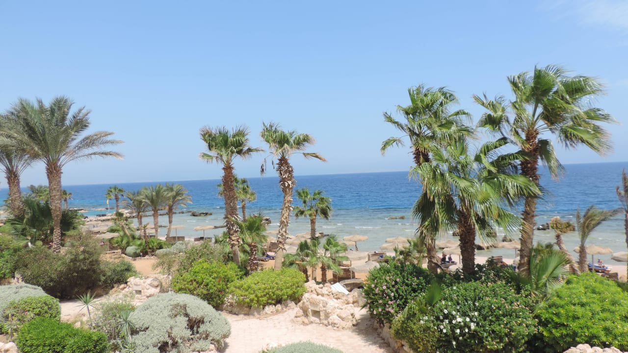 Meerblick Pickalbatros Citadel Resort