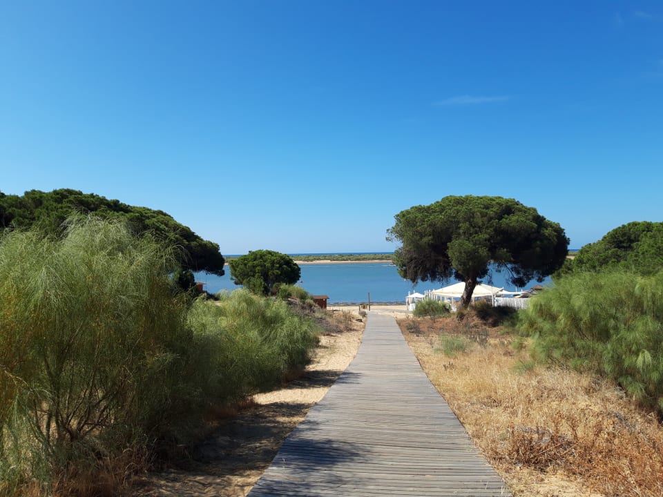 Strand Garden Playanatural - Adults only